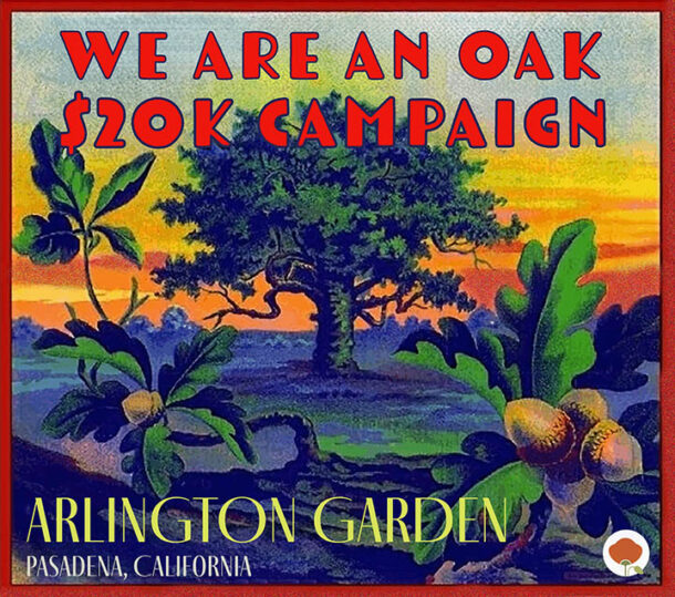 We Are an Oak! Arlington Garden Pasadena fundraising campaign